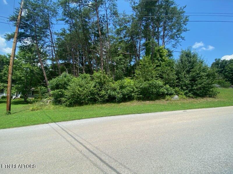 Lot 6 Scenic View Drive Rutledge TN 37861