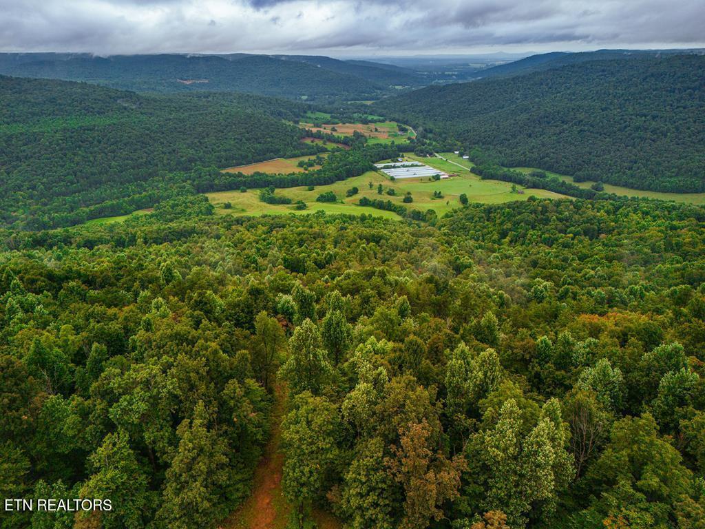 0 Bear Knob Lane Crawford TN 38554