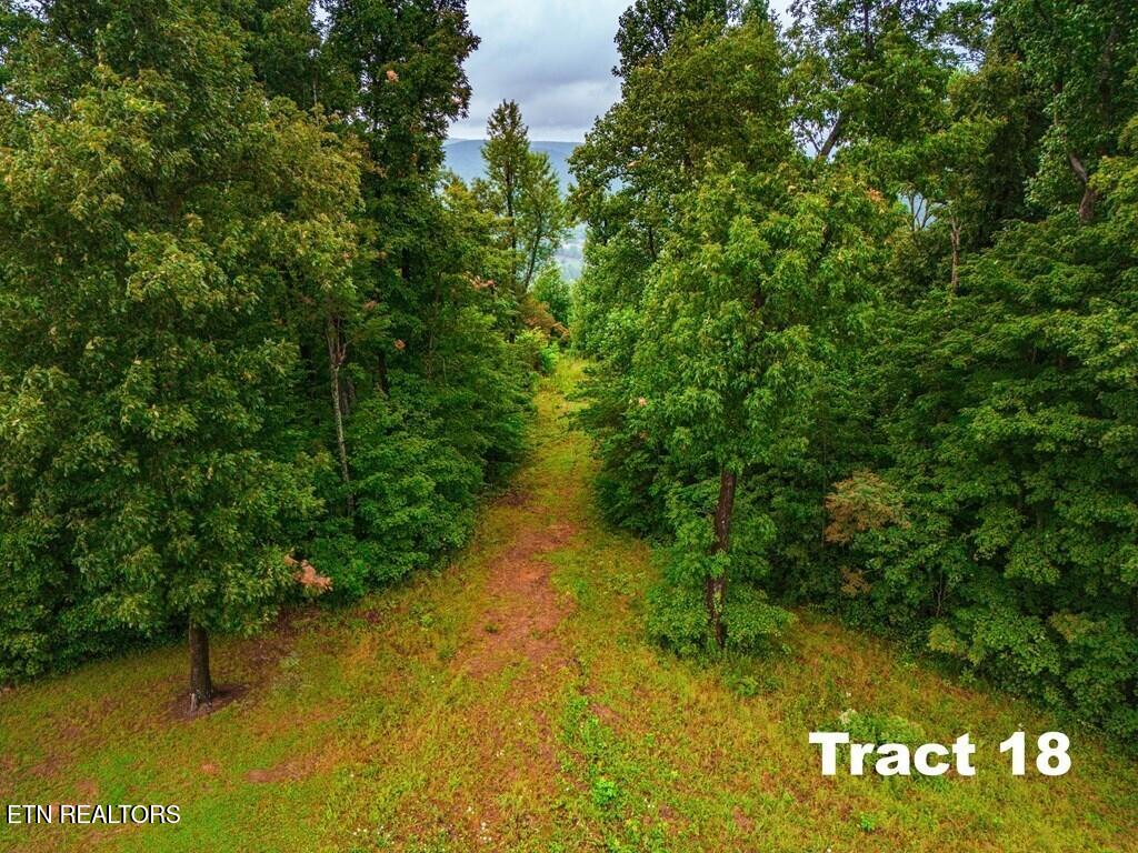 0 Bear Knob Lane Crawford TN 38554