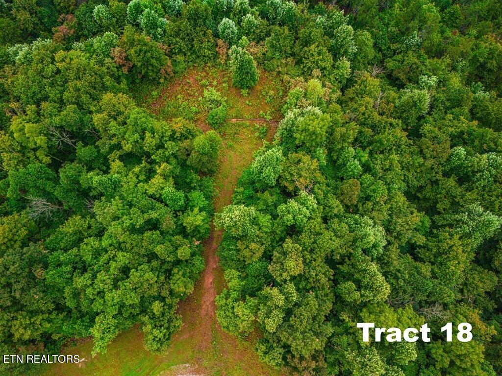 0 Bear Knob Lane Crawford TN 38554