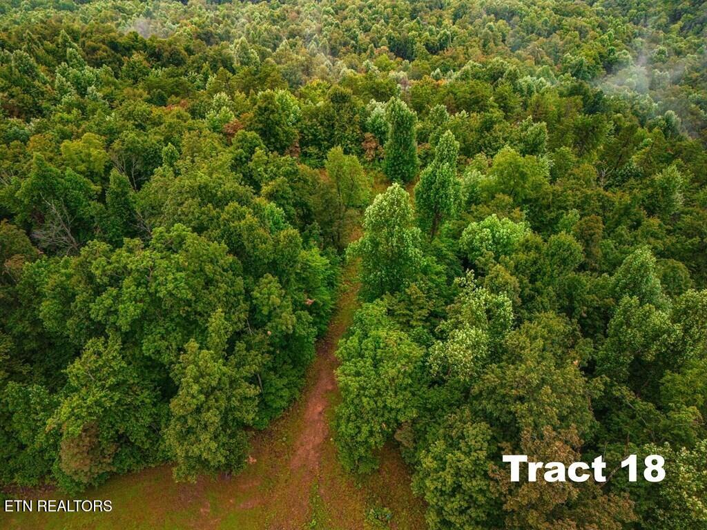 0 Bear Knob Lane Crawford TN 38554