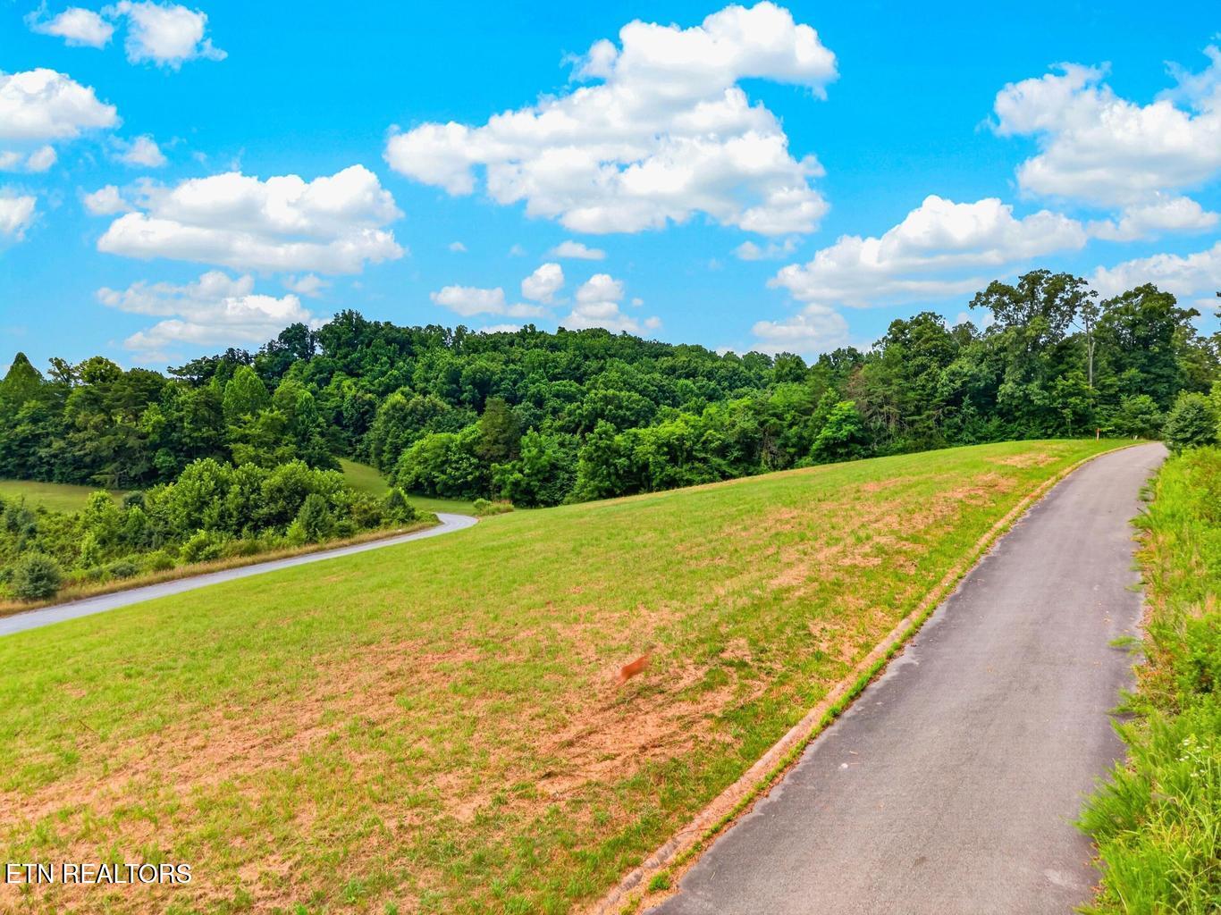 Woodland Creek Road Dandridge TN 37725