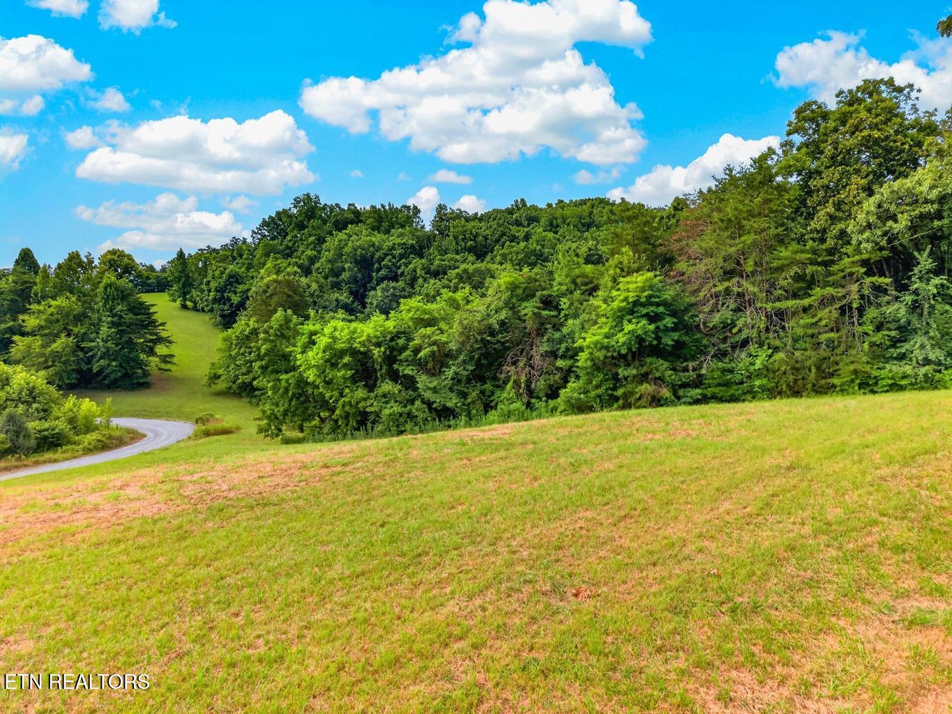 Woodland Creek Road Dandridge TN 37725