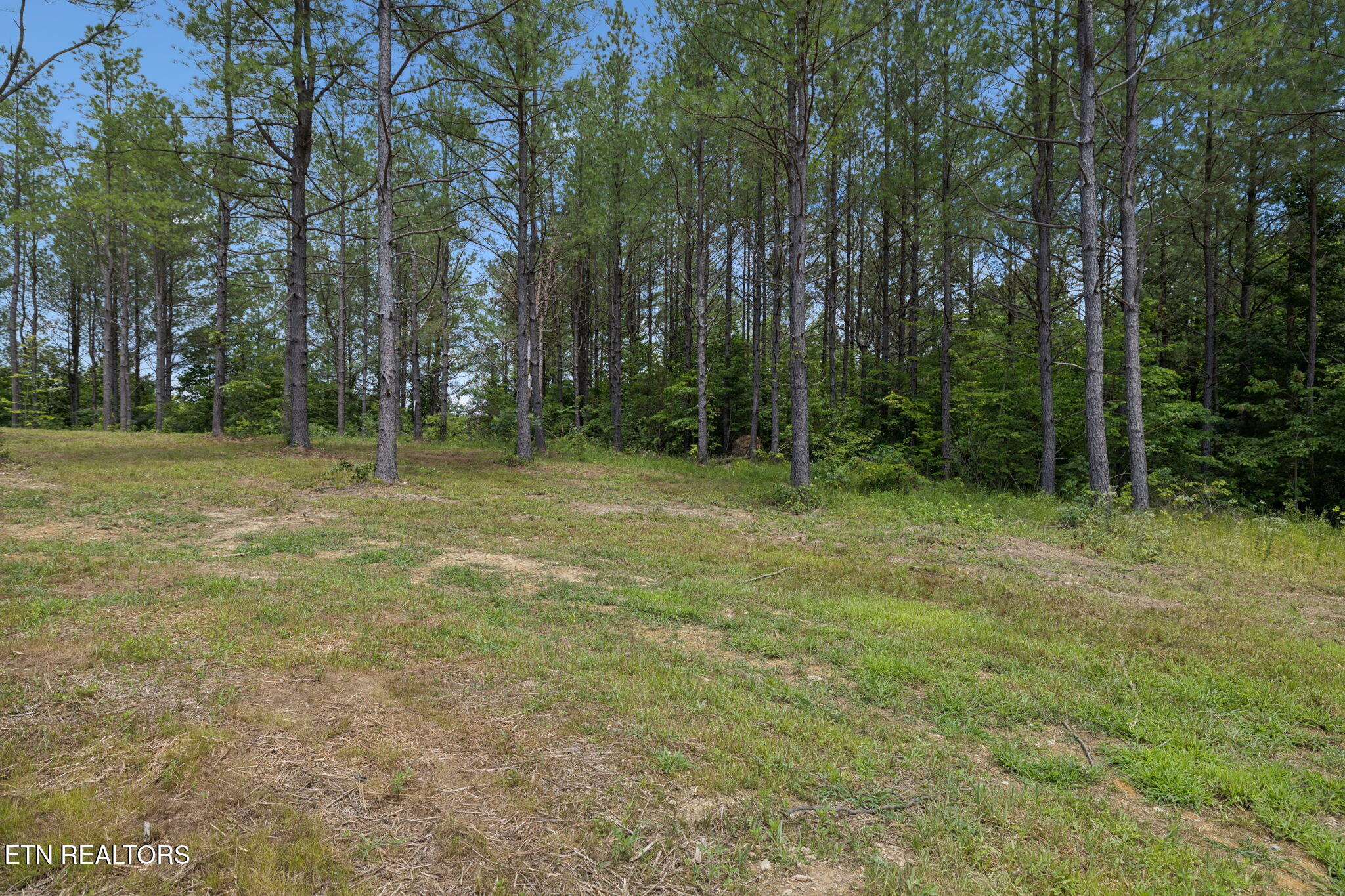 138 Belle Ridge Pvt Drive Robbins TN 37852