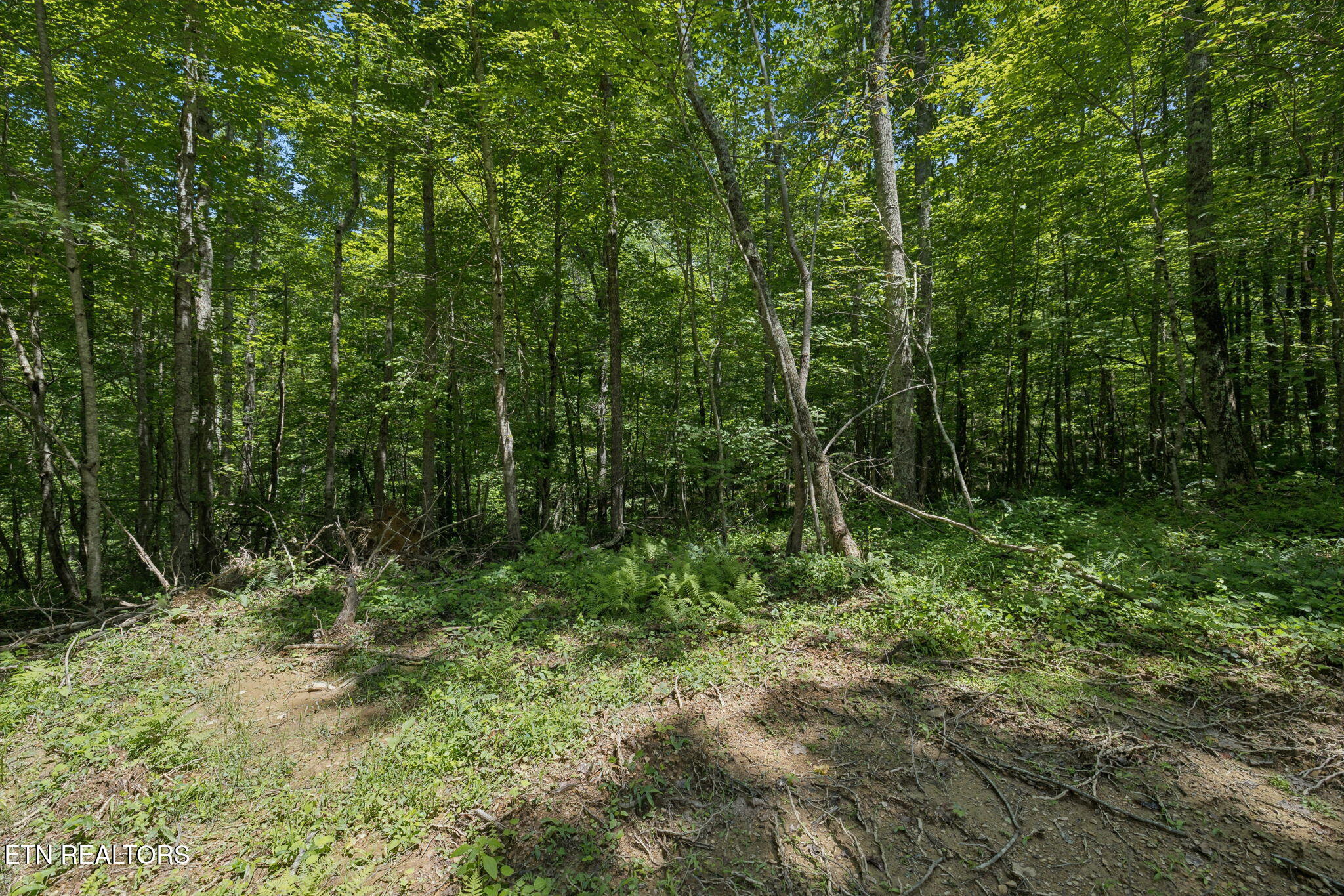 138 Belle Ridge Pvt Drive Robbins TN 37852