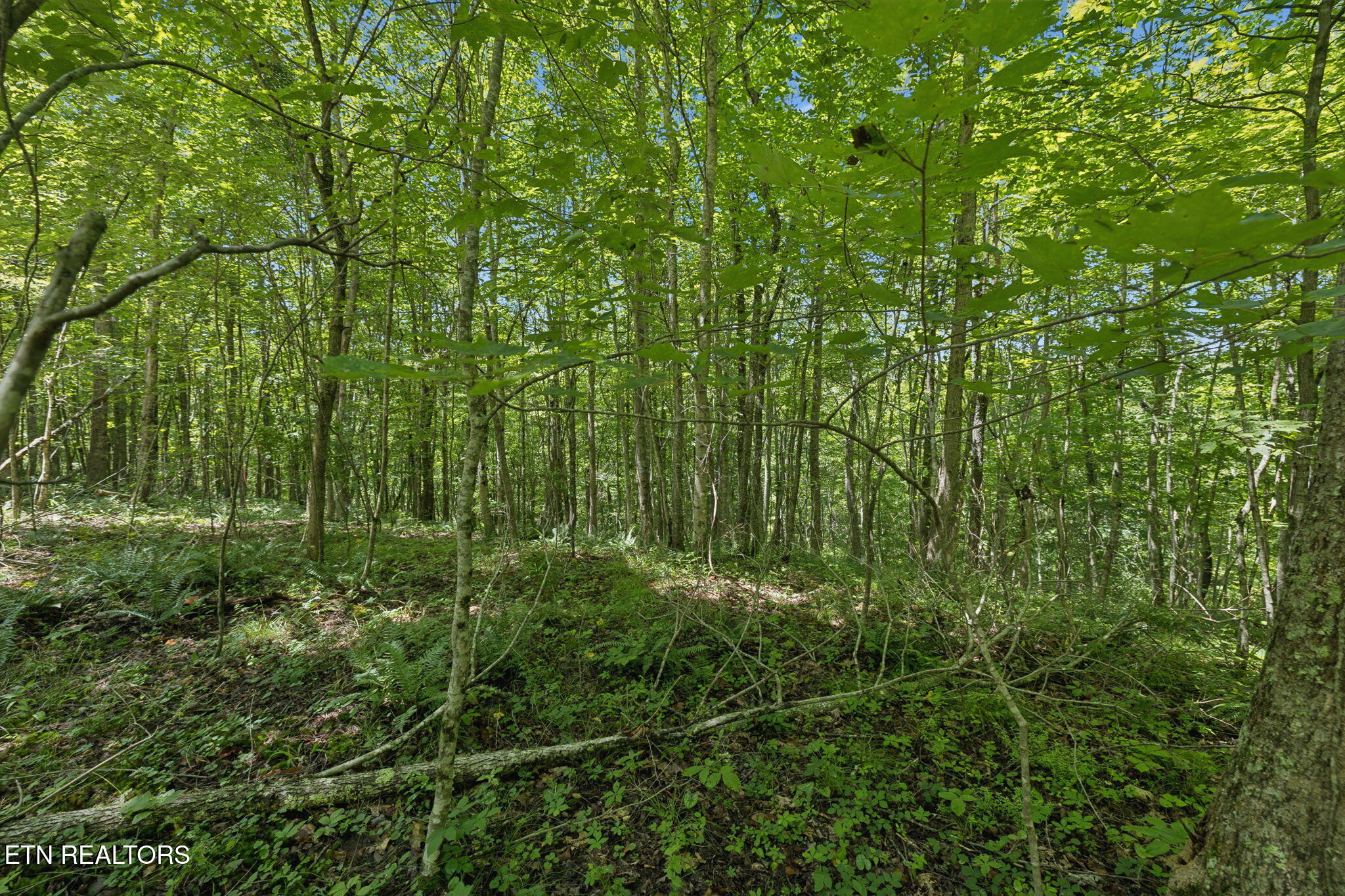 138 Belle Ridge Pvt Drive Robbins TN 37852
