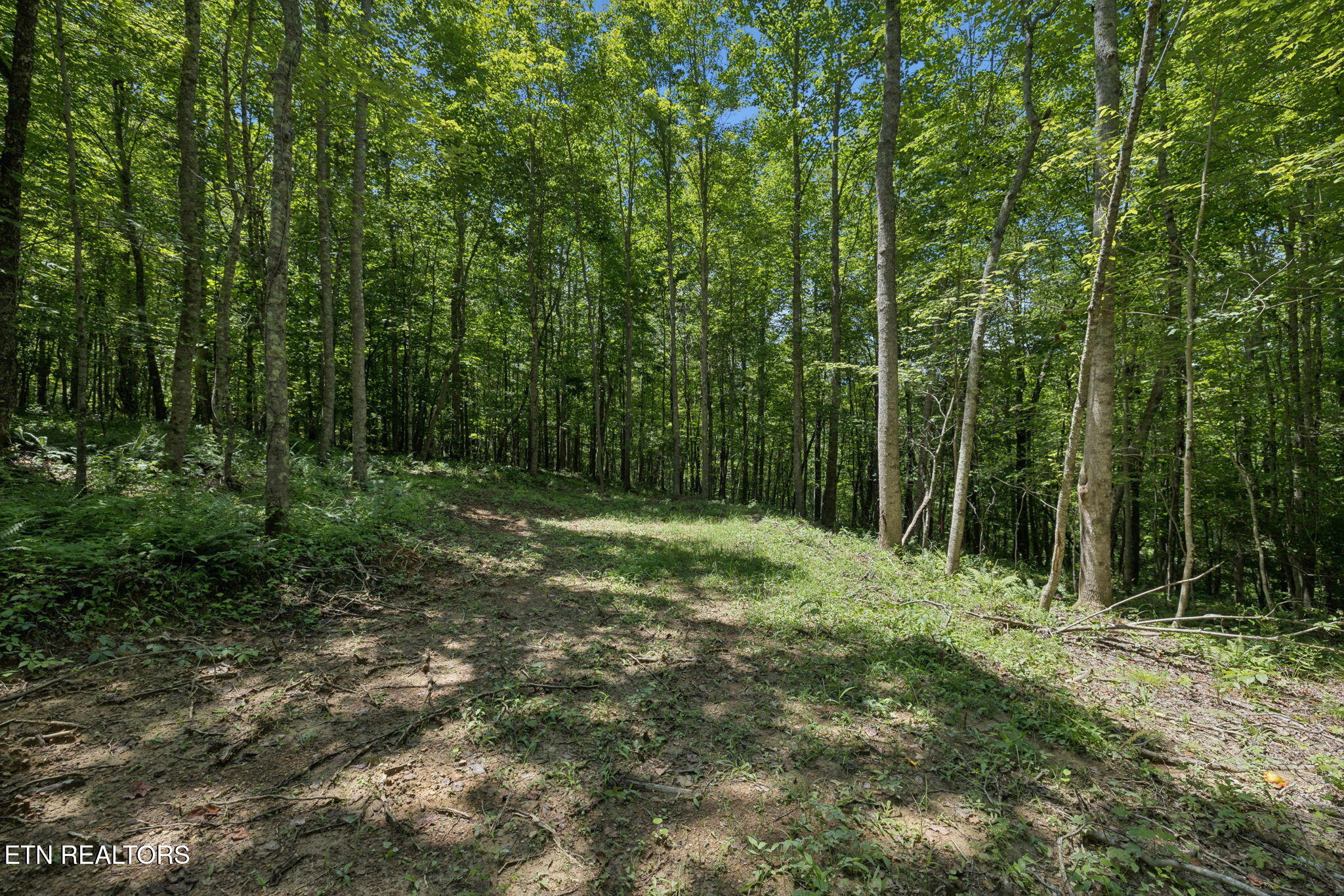 138 Belle Ridge Pvt Drive Robbins TN 37852