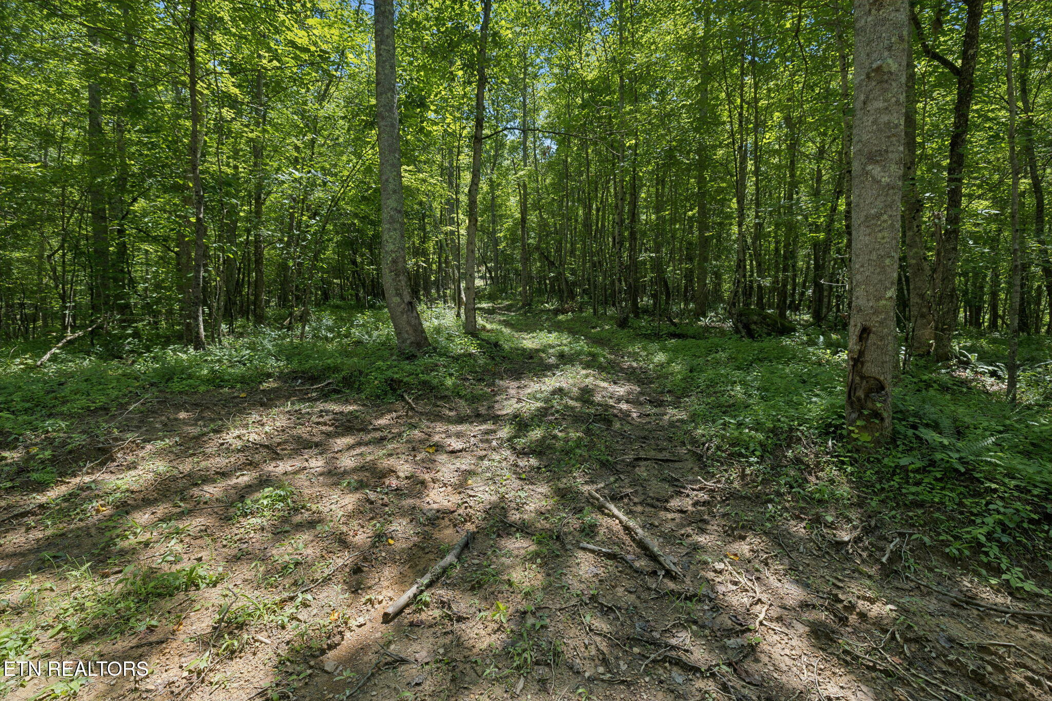 138 Belle Ridge Pvt Drive Robbins TN 37852