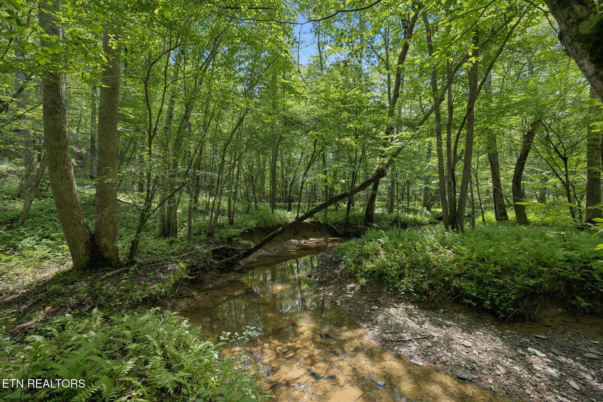138 Belle Ridge Pvt Drive Robbins TN 37852