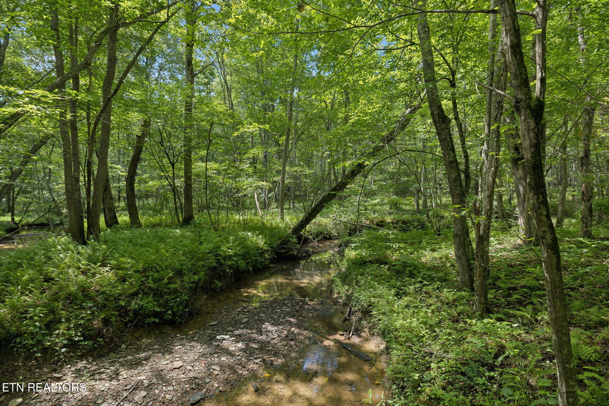 138 Belle Ridge Pvt Drive Robbins TN 37852