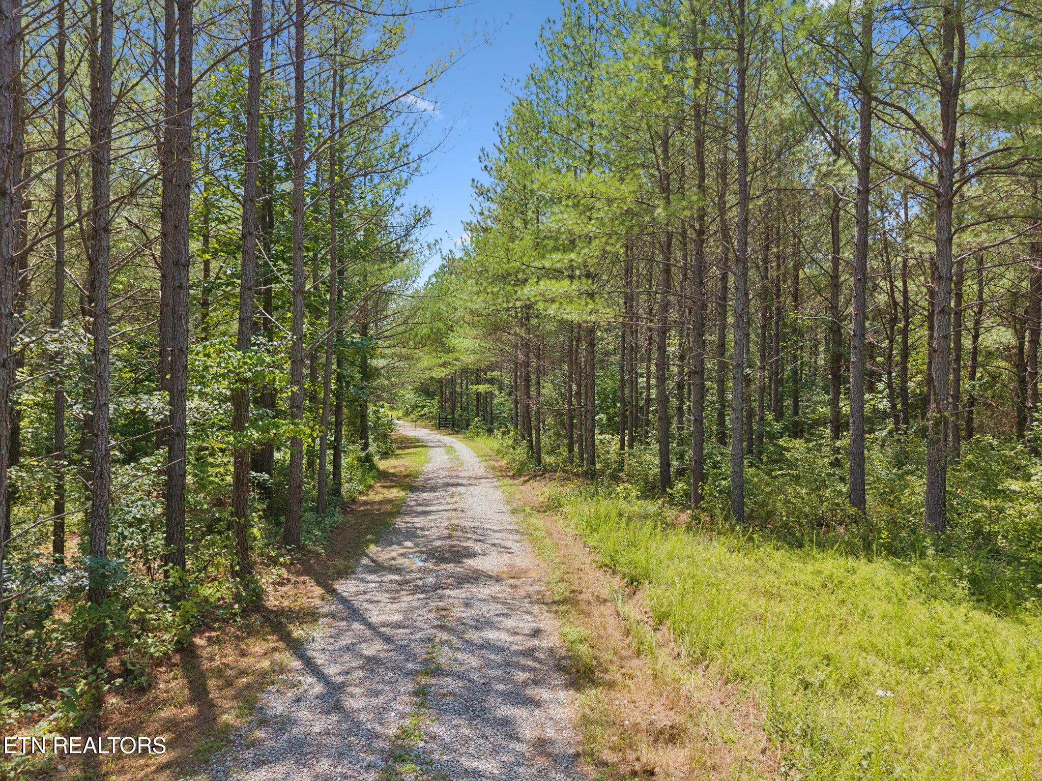 138 Belle Ridge Pvt Drive Robbins TN 37852