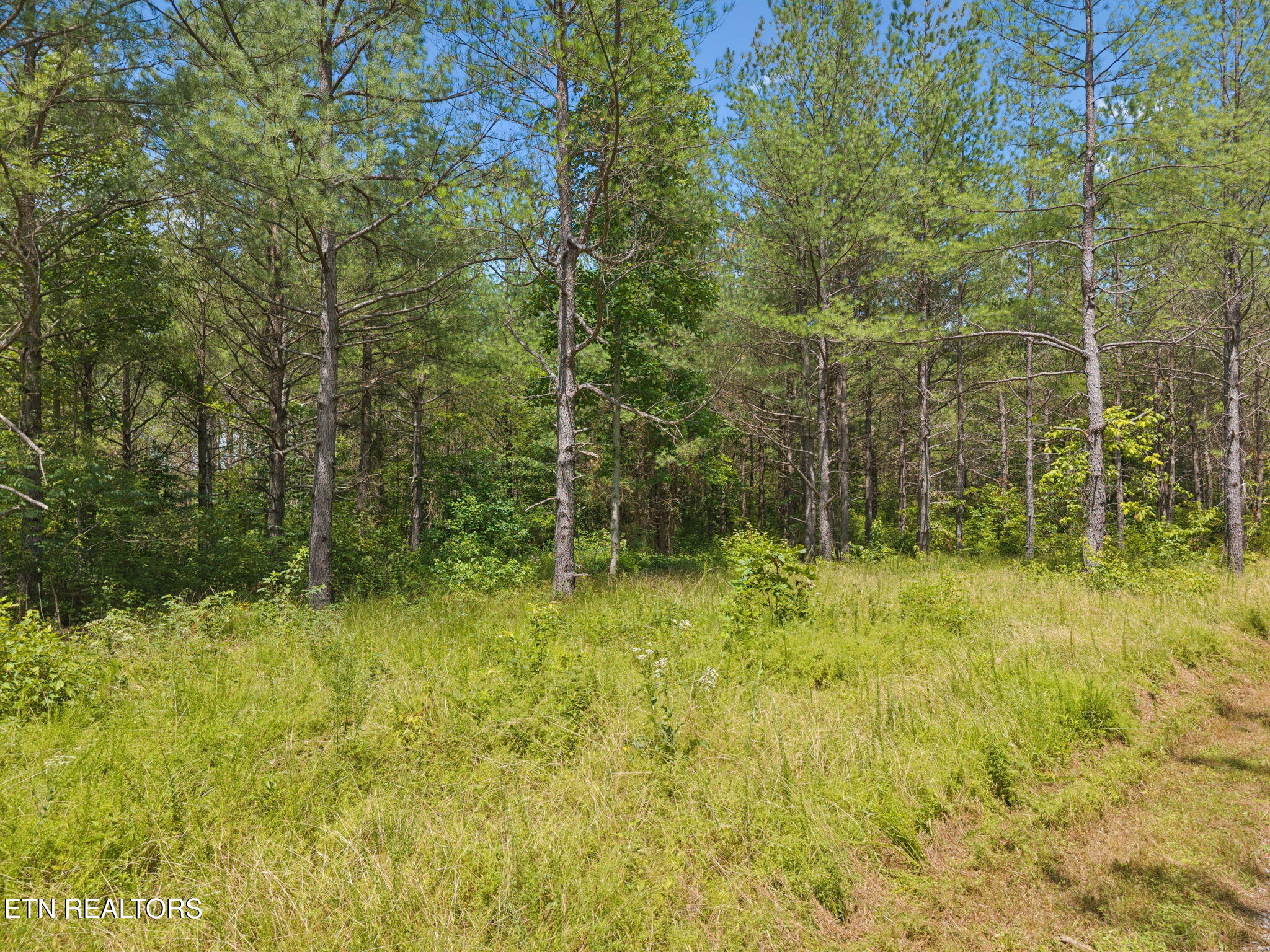 138 Belle Ridge Pvt Drive Robbins TN 37852