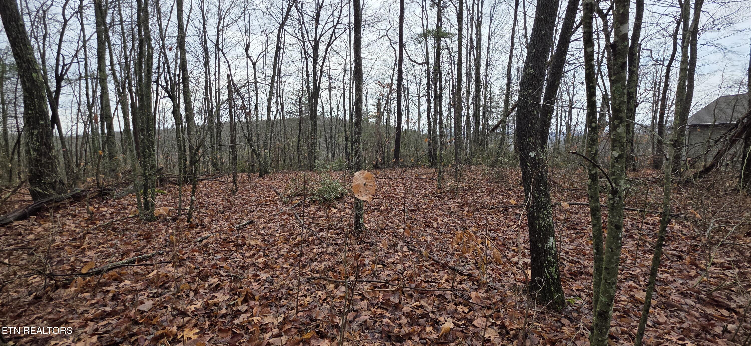 772 Eastridge Pass Monterey TN 38574