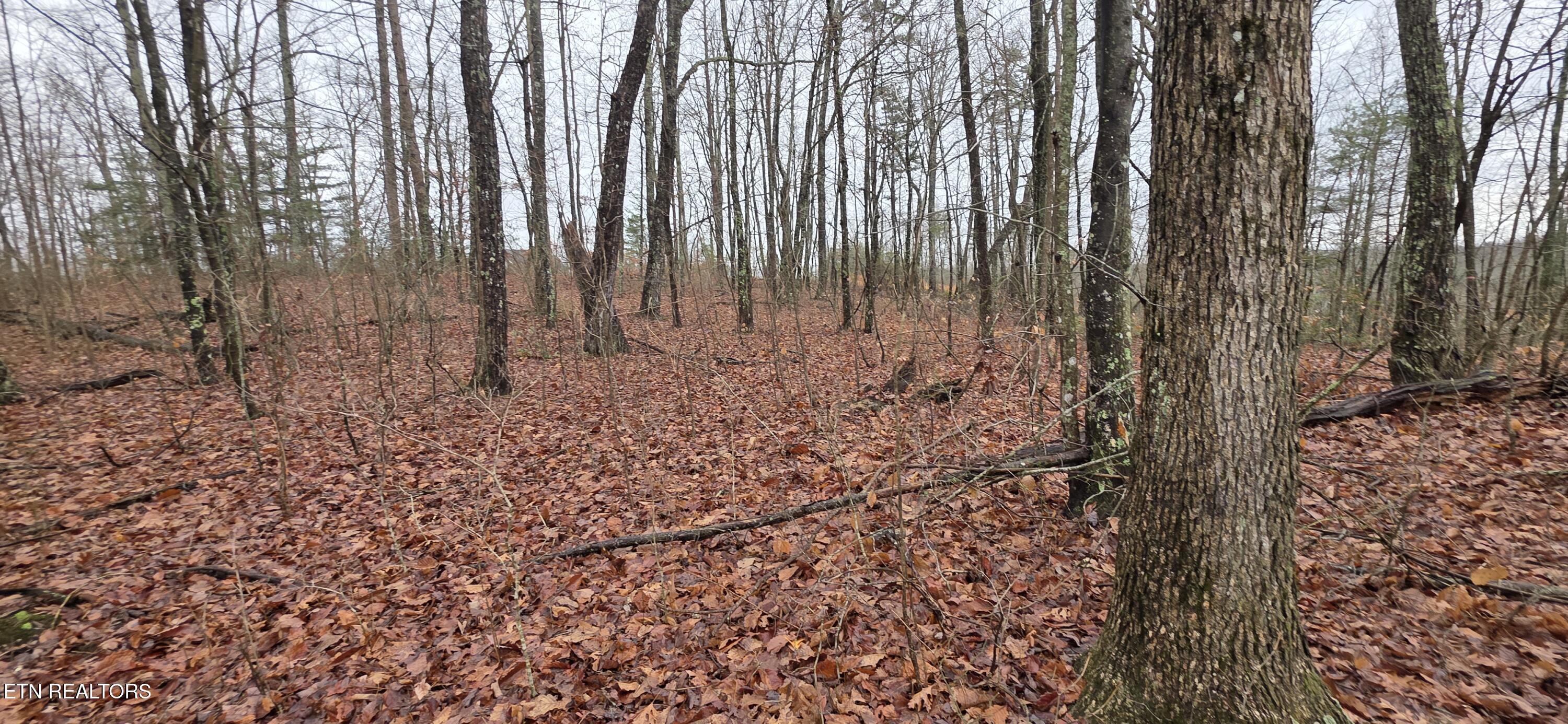 772 Eastridge Pass Monterey TN 38574