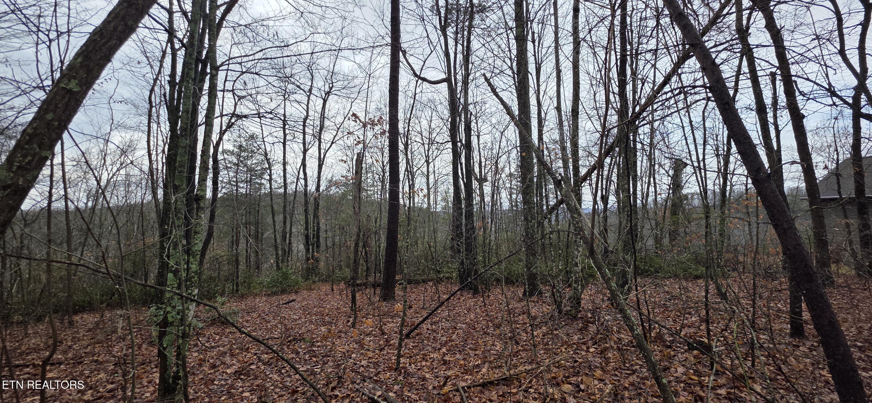772 Eastridge Pass Monterey TN 38574