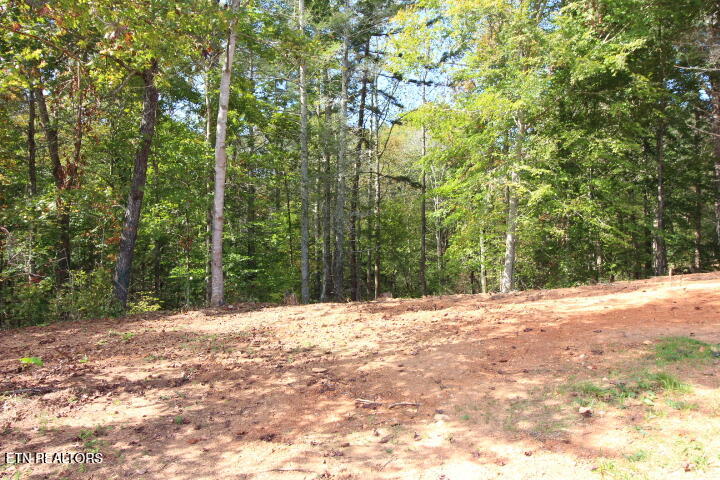 523 Rudd Hollow Road Townsend TN 37882