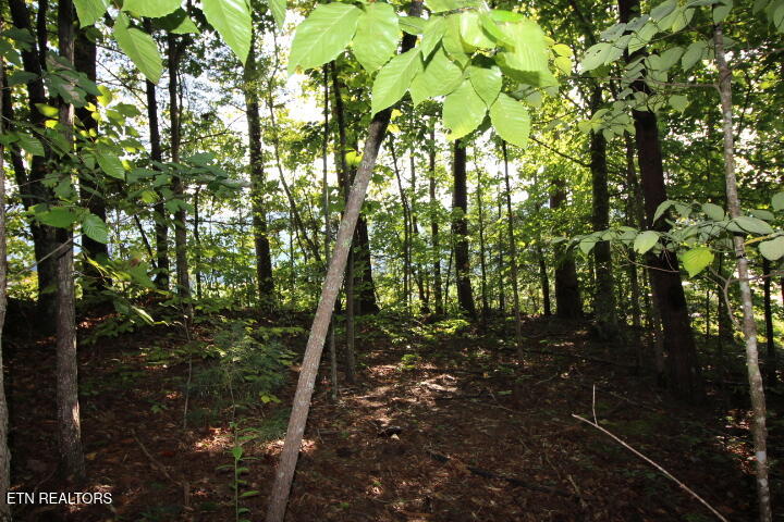 523 Rudd Hollow Road Townsend TN 37882