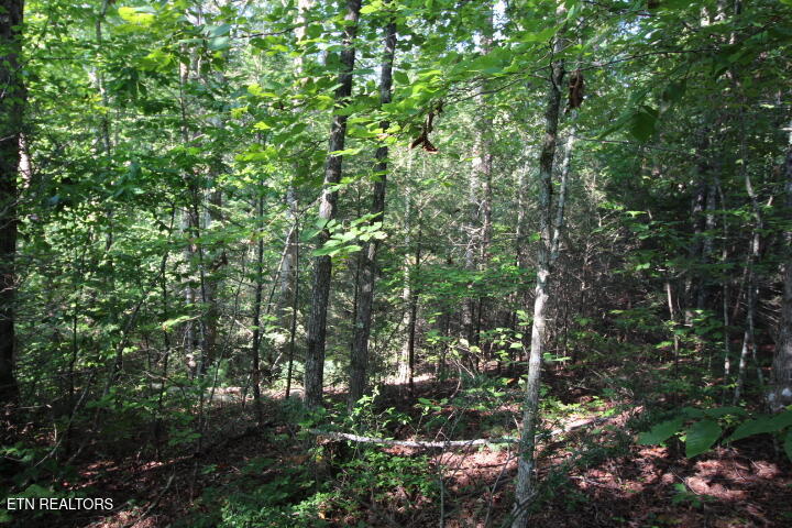 523 Rudd Hollow Road Townsend TN 37882