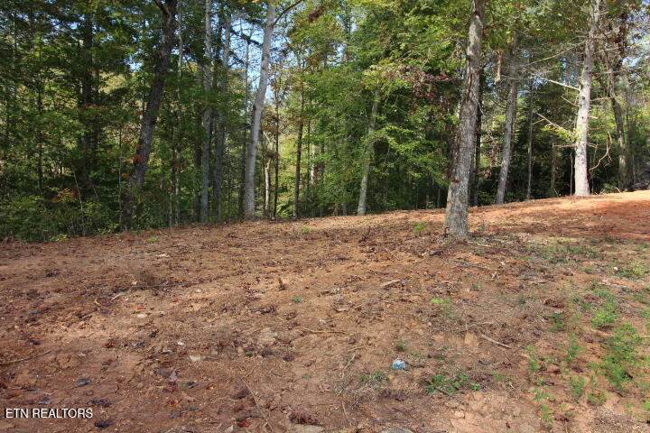 523 Rudd Hollow Road Townsend TN 37882