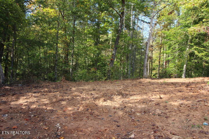 523 Rudd Hollow Road Townsend TN 37882