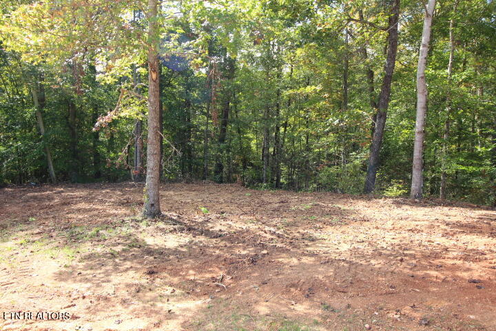 523 Rudd Hollow Road Townsend TN 37882