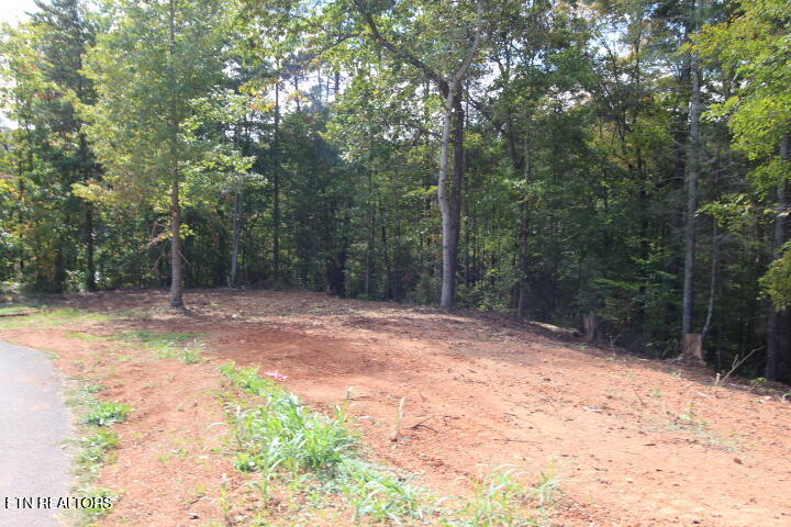 523 Rudd Hollow Road Townsend TN 37882