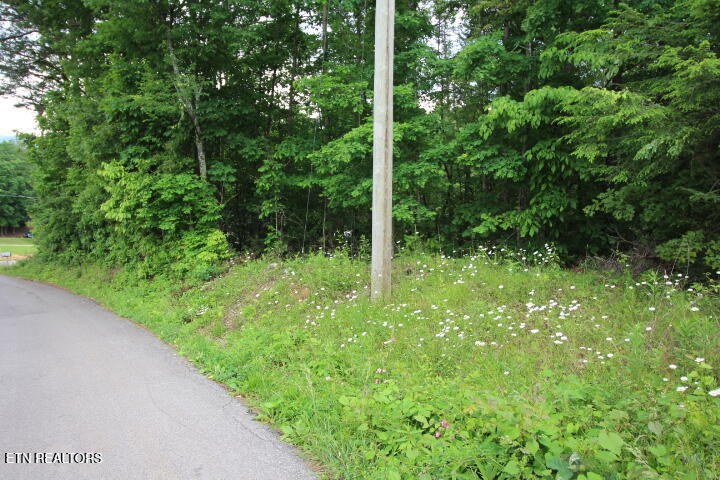 523 Rudd Hollow Road Townsend TN 37882