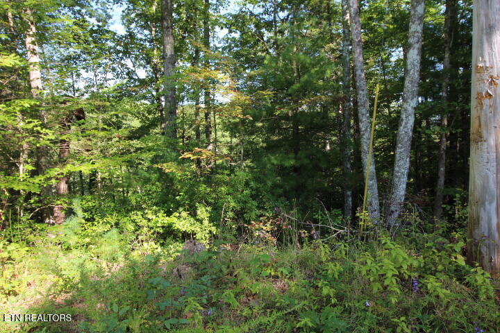 523 Rudd Hollow Road Townsend TN 37882
