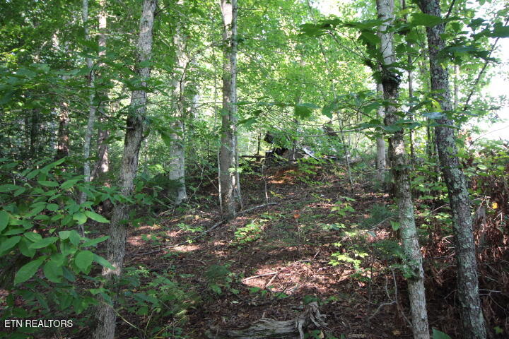 523 Rudd Hollow Road Townsend TN 37882