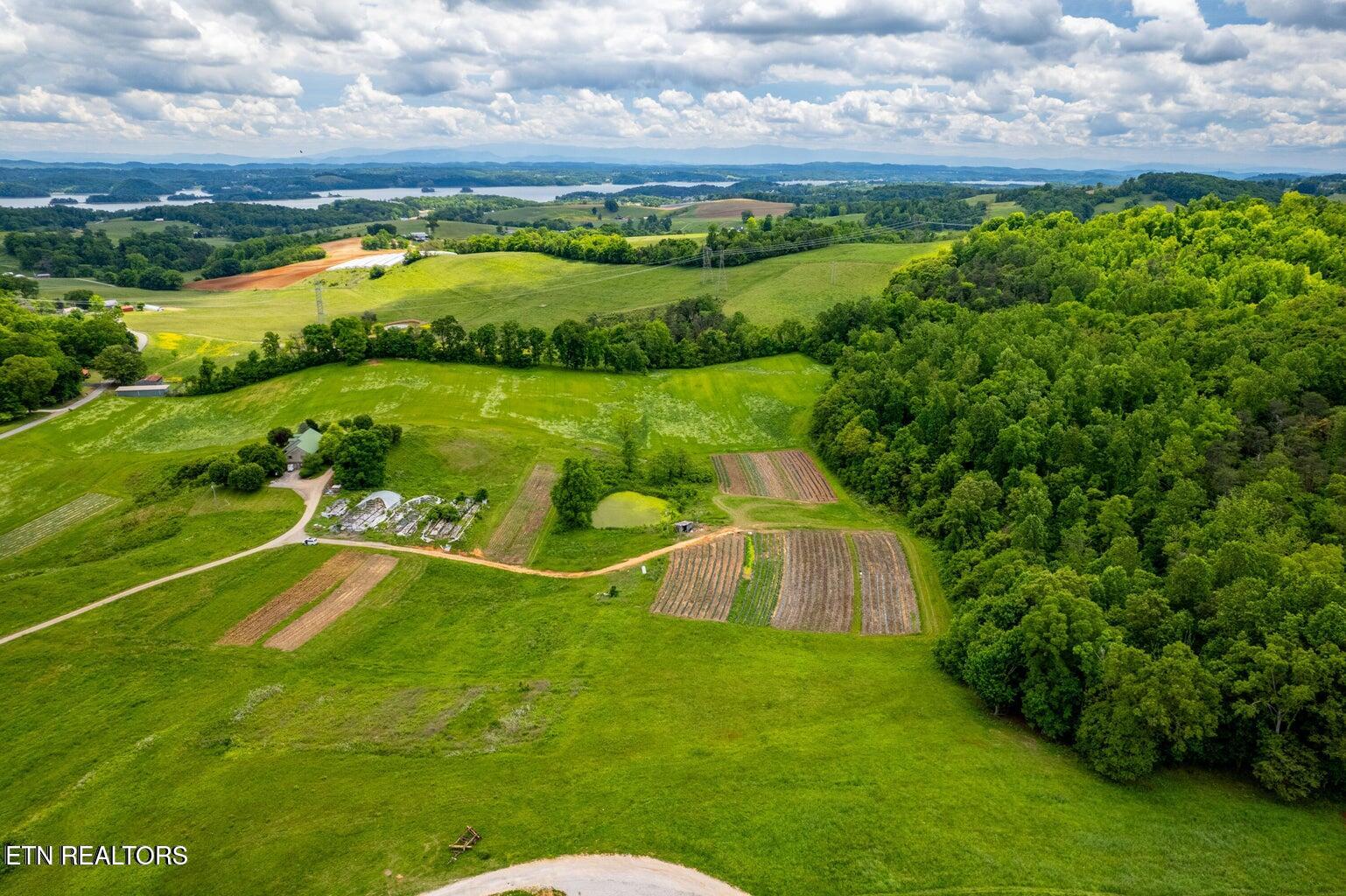 Greenlee Road Rutledge TN 37861