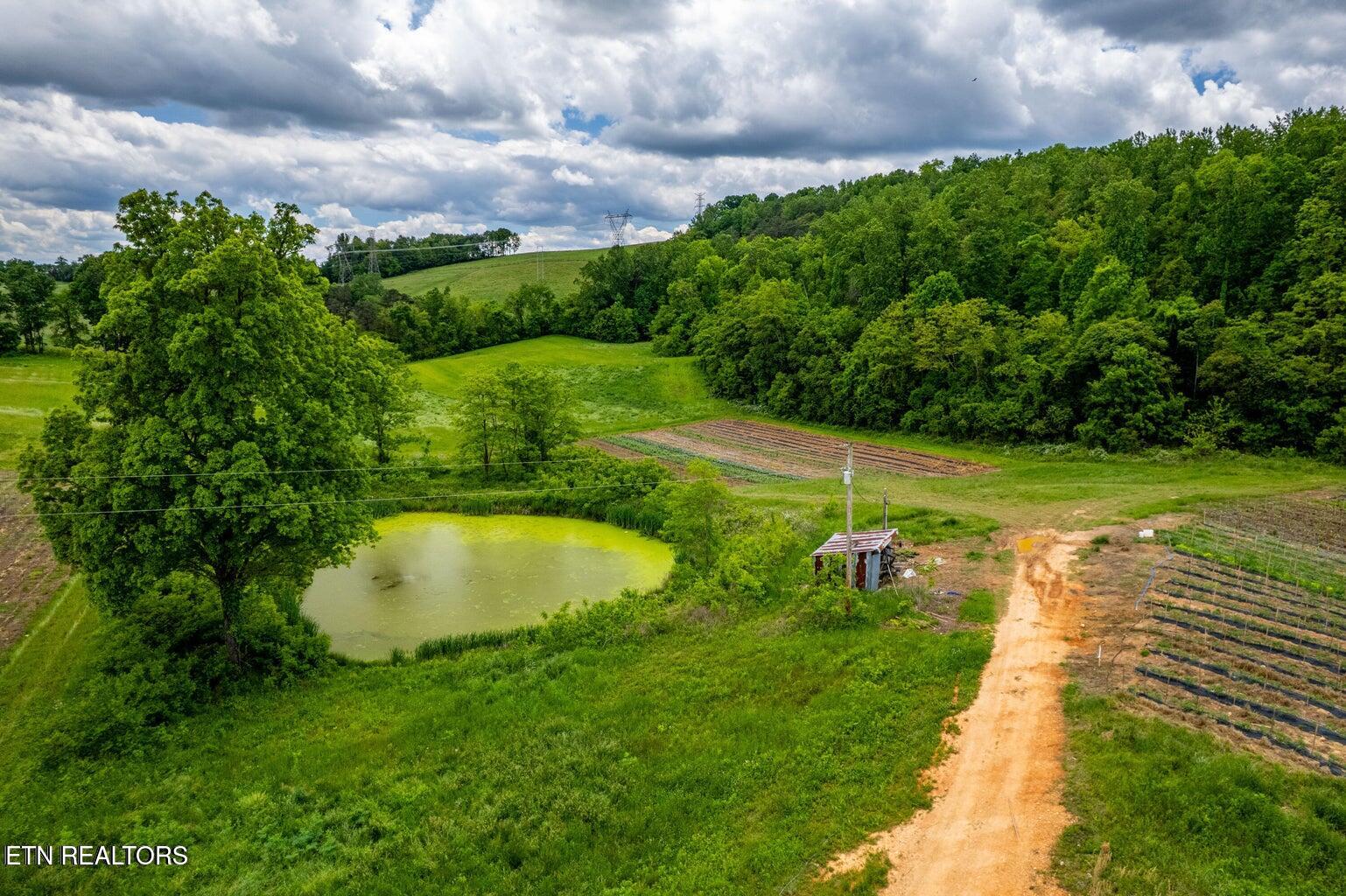 Greenlee Road Rutledge TN 37861