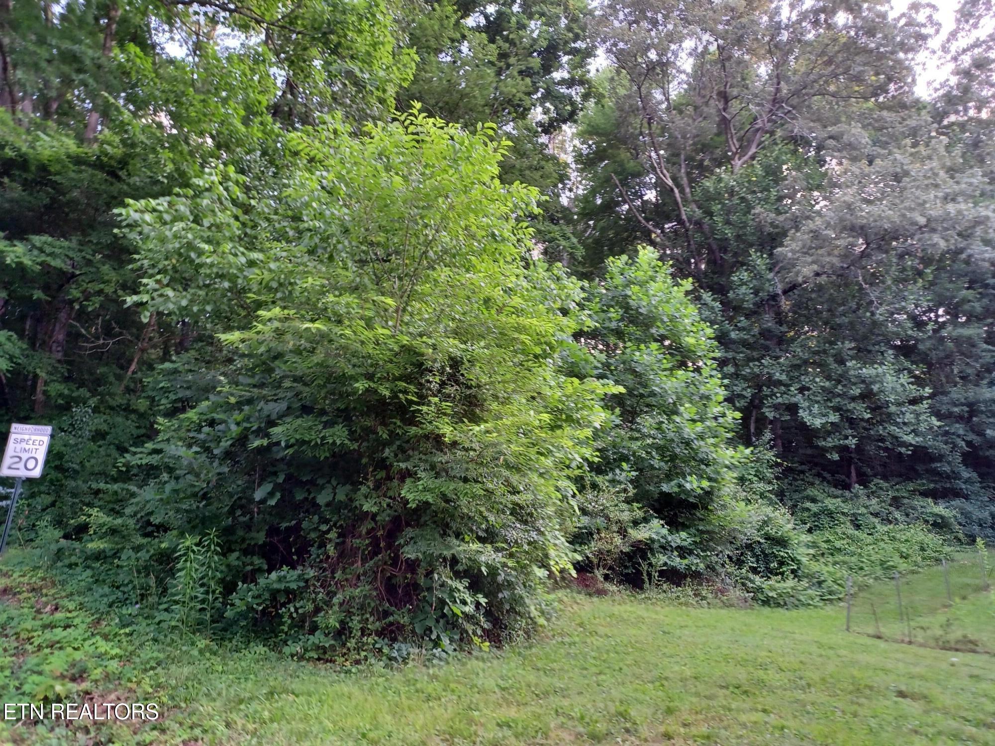 2732 Willocks Avenue Maryville TN 37804