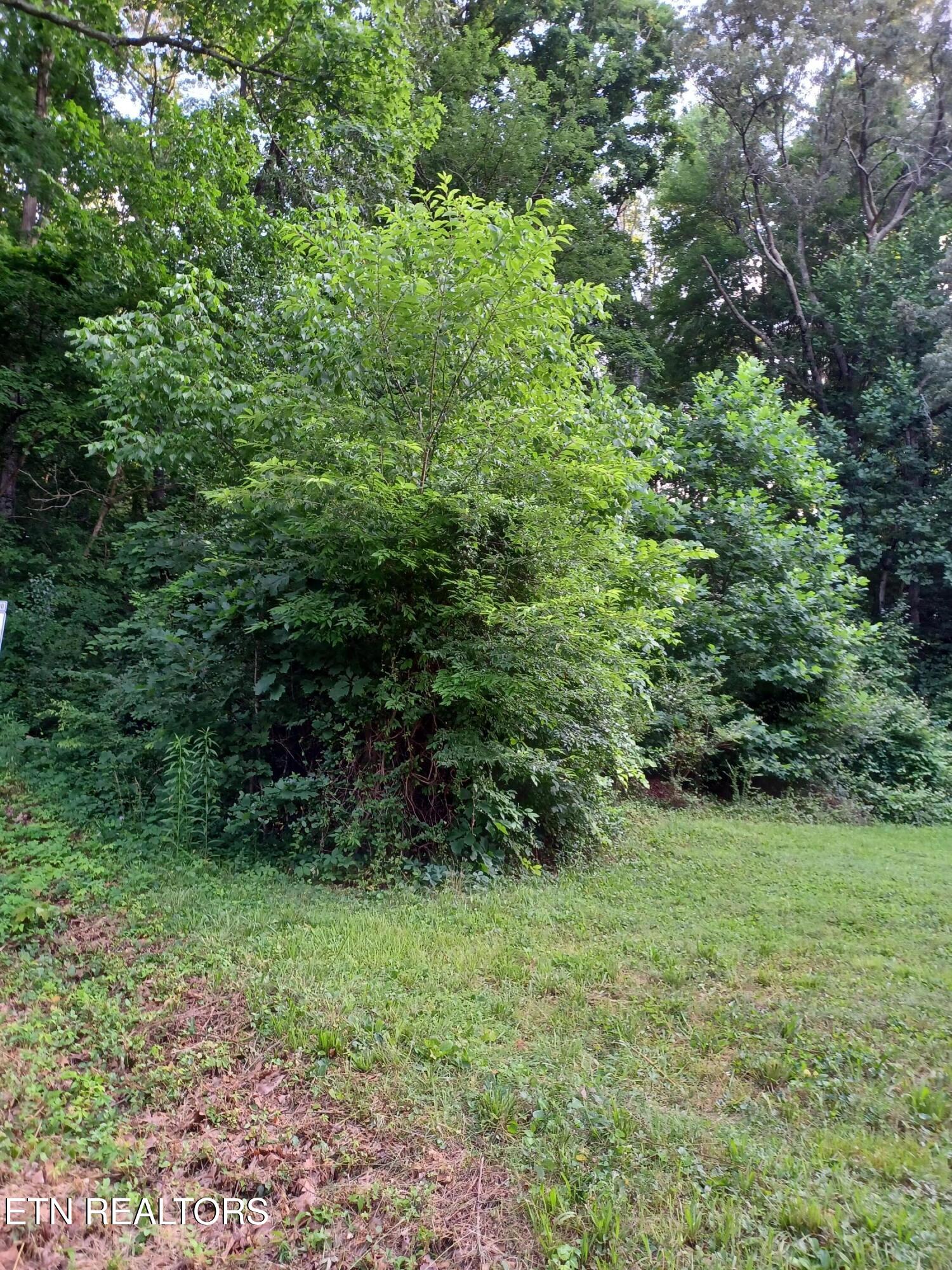 2732 Willocks Avenue Maryville TN 37804