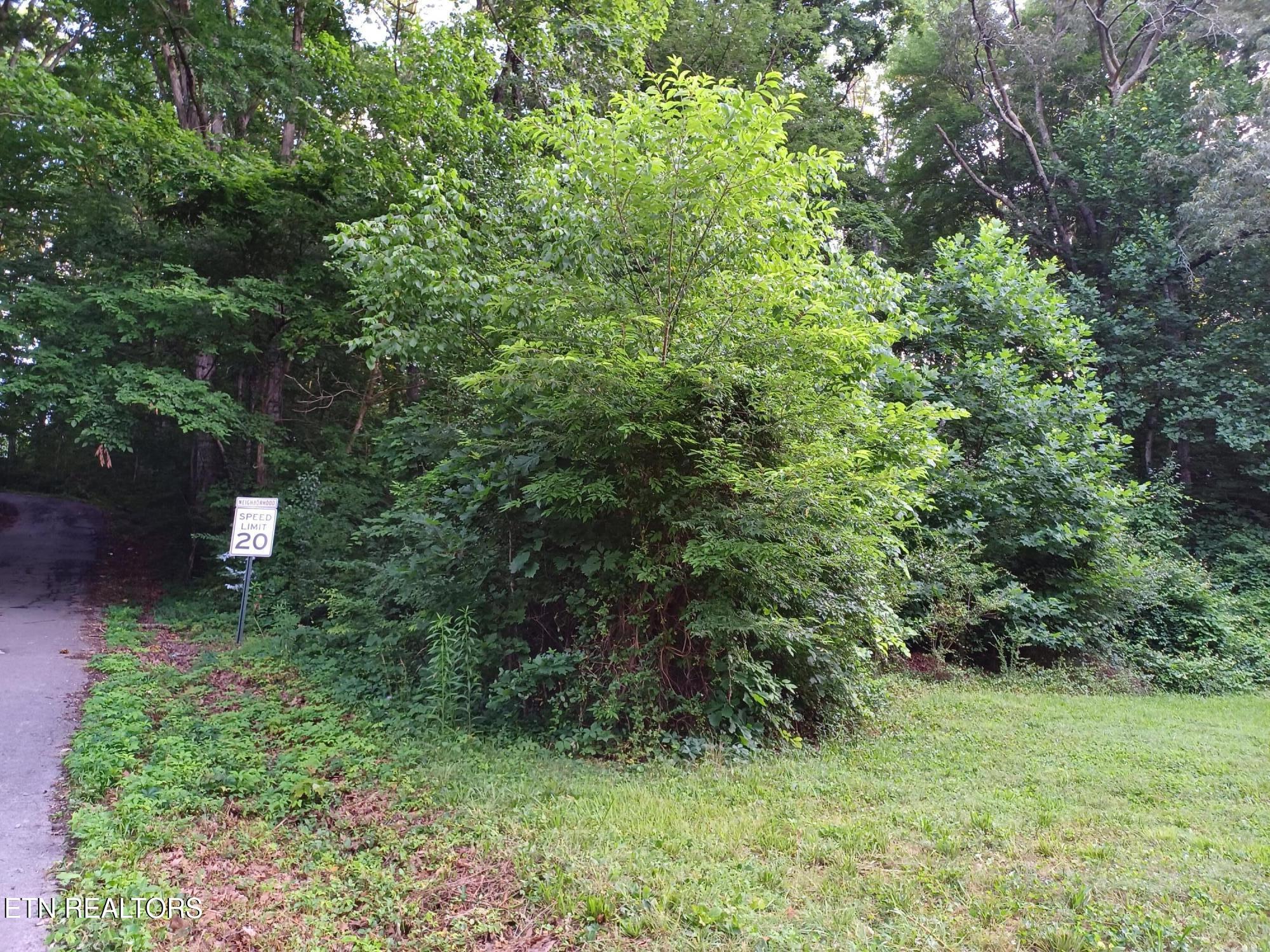2732 Willocks Avenue Maryville TN 37804