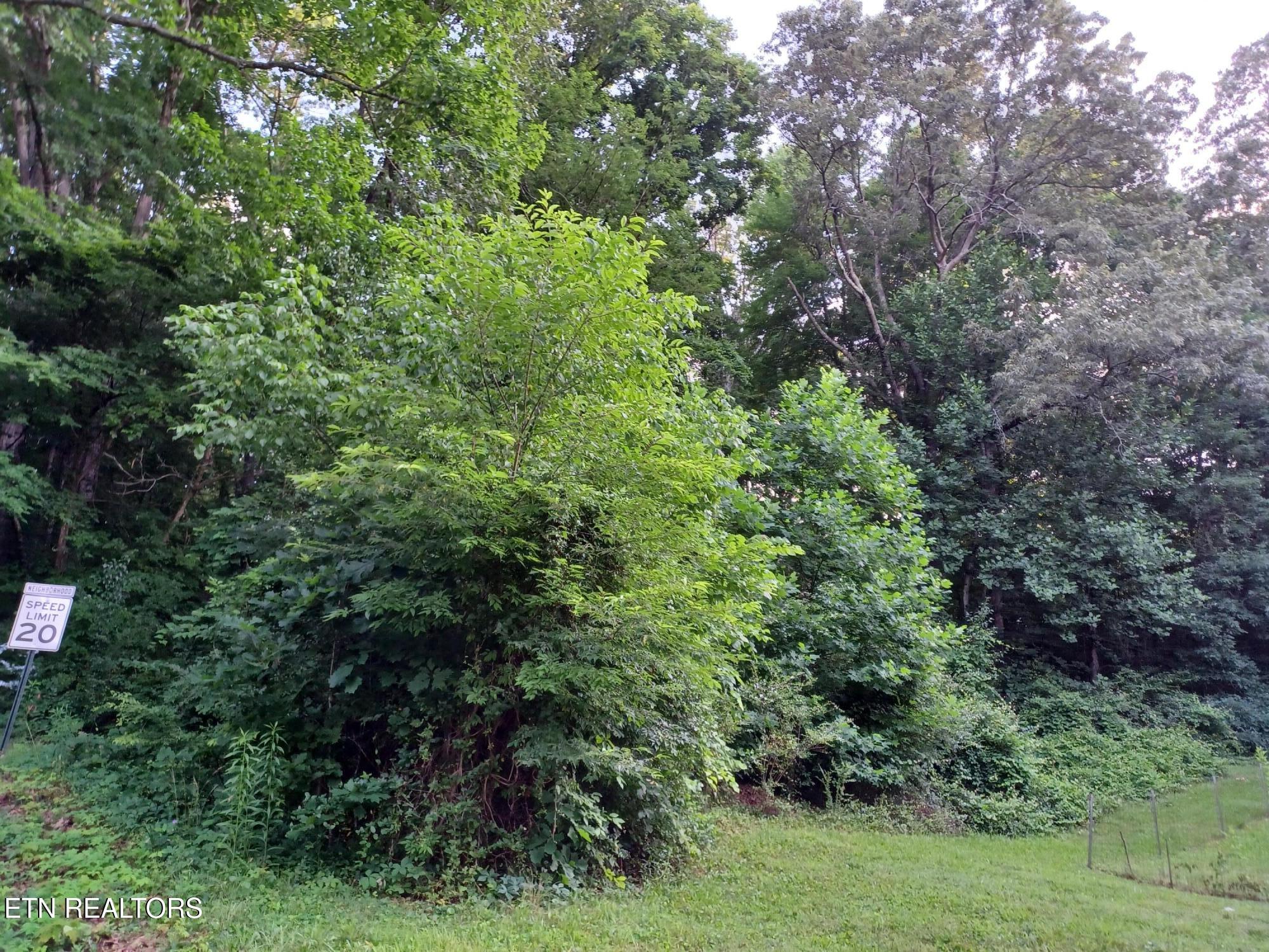 2732 Willocks Avenue Maryville TN 37804