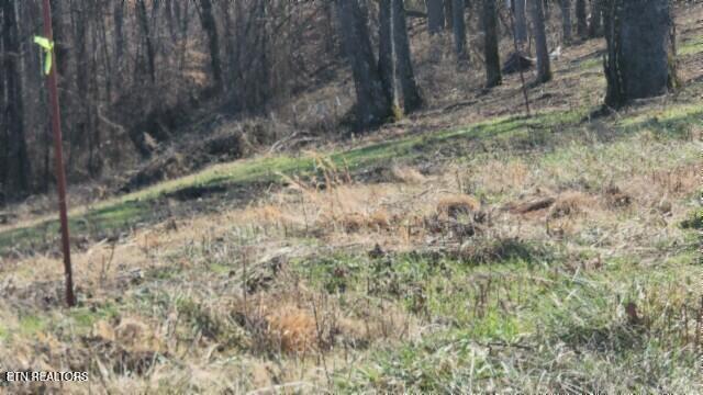 Lot 13 Lord Botetourt Court Baxter TN 38544