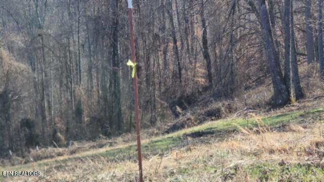 Lot 13 Lord Botetourt Court Baxter TN 38544