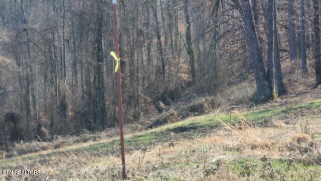 Lot 13 Lord Botetourt Court Baxter TN 38544