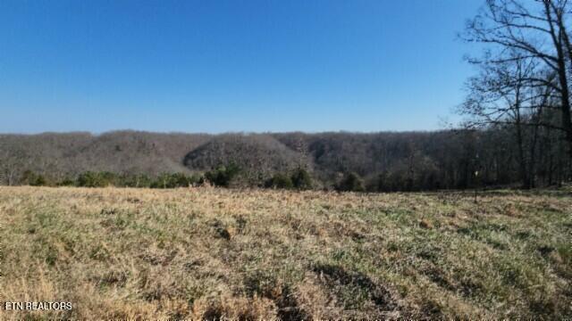 Lot 13 Lord Botetourt Court Baxter TN 38544