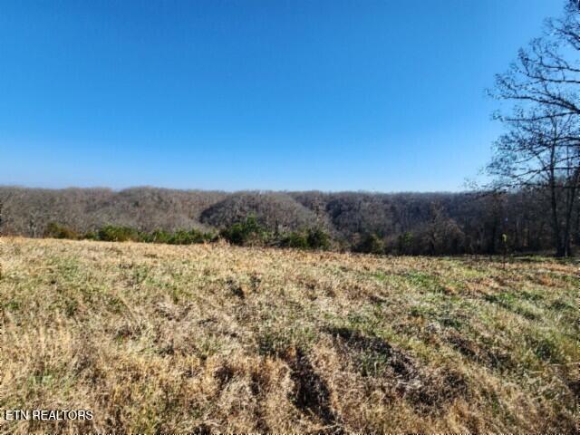 Lot 13 Lord Botetourt Court Baxter TN 38544
