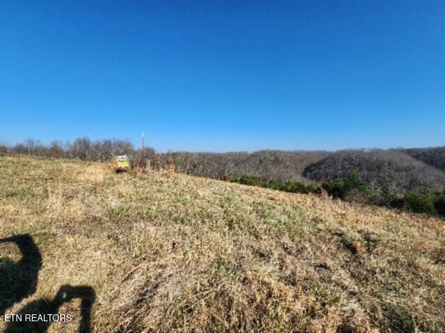 Lot 13 Lord Botetourt Court Baxter TN 38544