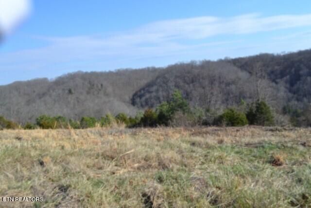Lot 13 Lord Botetourt Court Baxter TN 38544