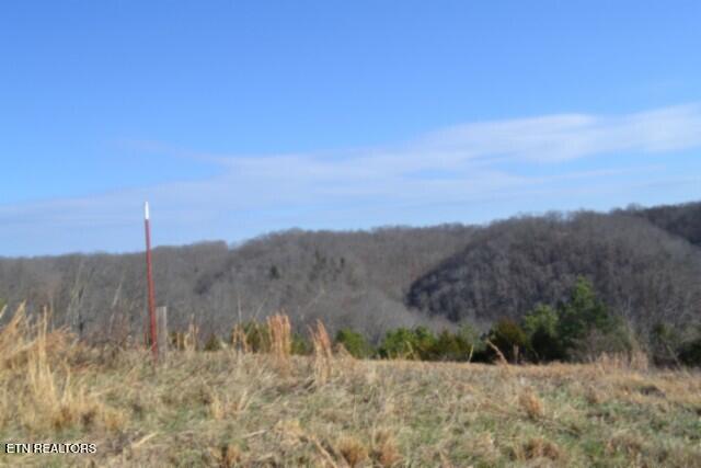 Lot 13 Lord Botetourt Court Baxter TN 38544