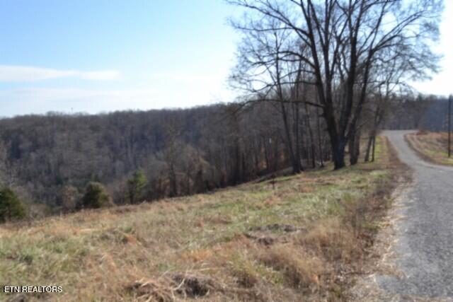 Lot 13 Lord Botetourt Court Baxter TN 38544
