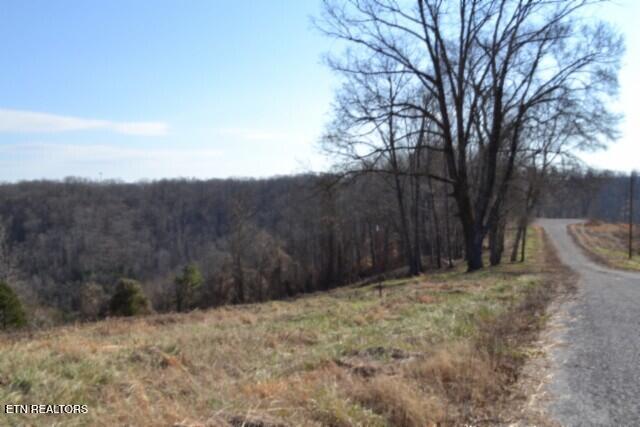 Lot 13 Lord Botetourt Court Baxter TN 38544