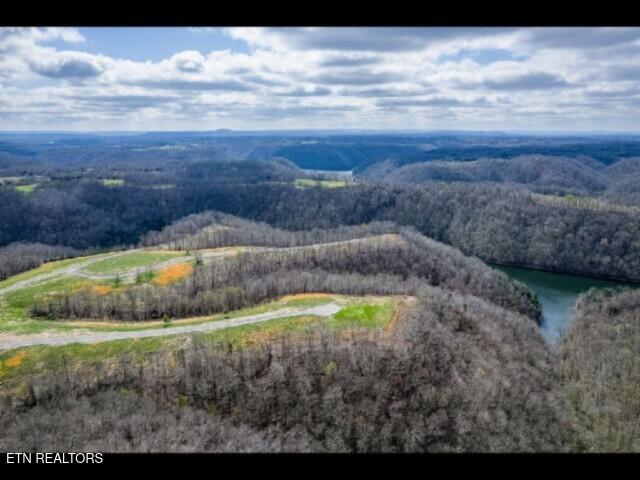 Lot 13 Lord Botetourt Court Baxter TN 38544