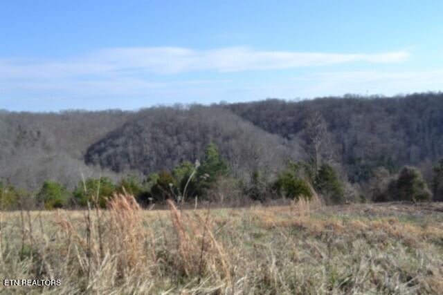 Lot 13 Lord Botetourt Court Baxter TN 38544