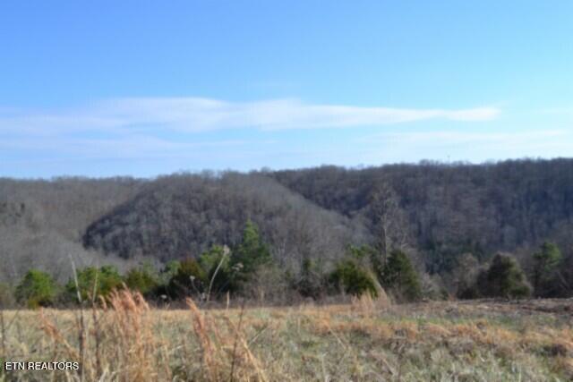 Lot 13 Lord Botetourt Court Baxter TN 38544