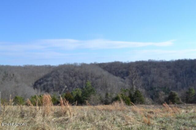 Lot 13 Lord Botetourt Court Baxter TN 38544