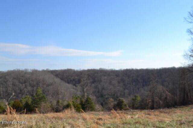 Lot 13 Lord Botetourt Court Baxter TN 38544